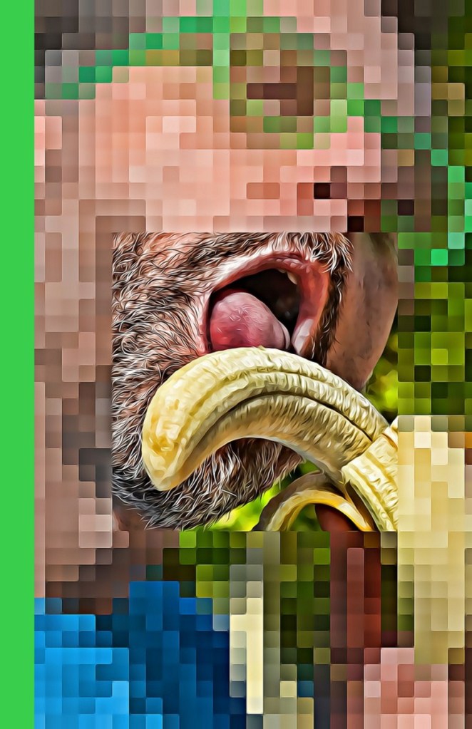 Autor: Andreu Tusquets.