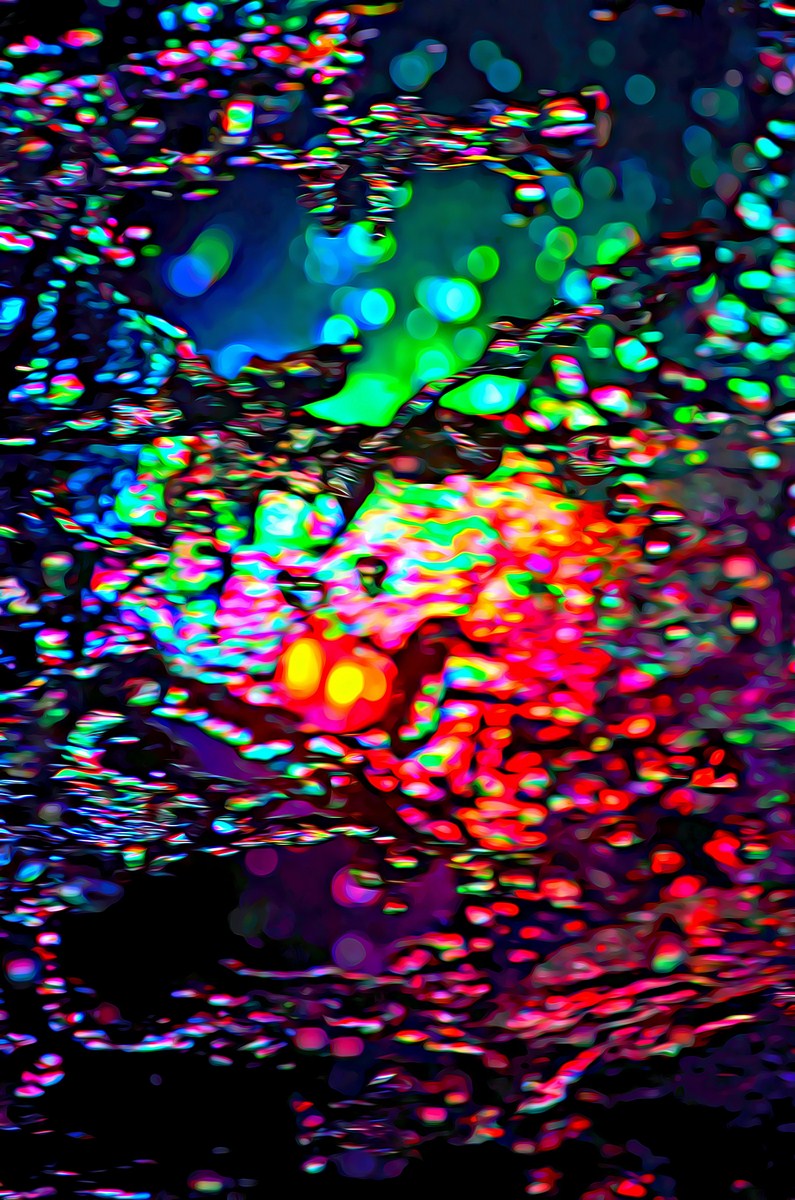 Autor: Andreu Tusquets.