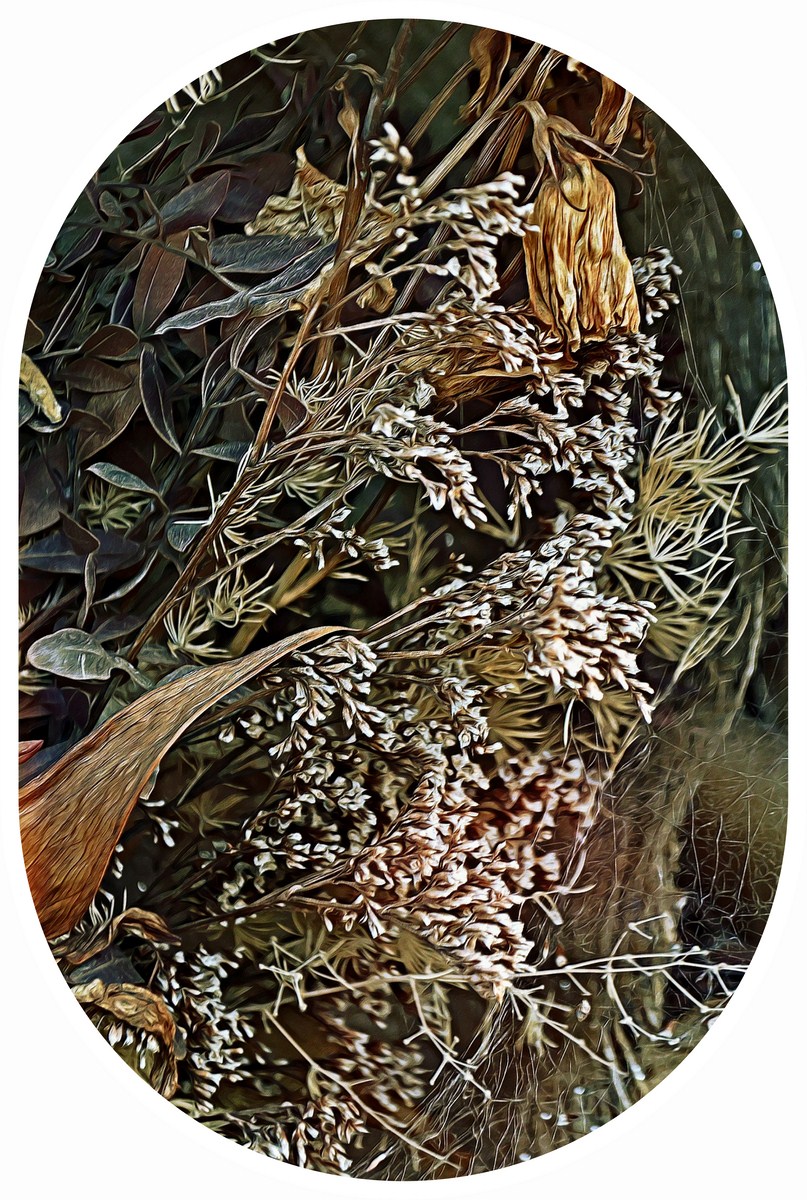 Autor: Andreu Tusquets.