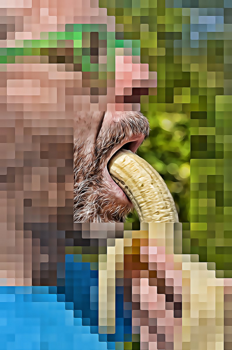 Autor: Andreu Tusquets.