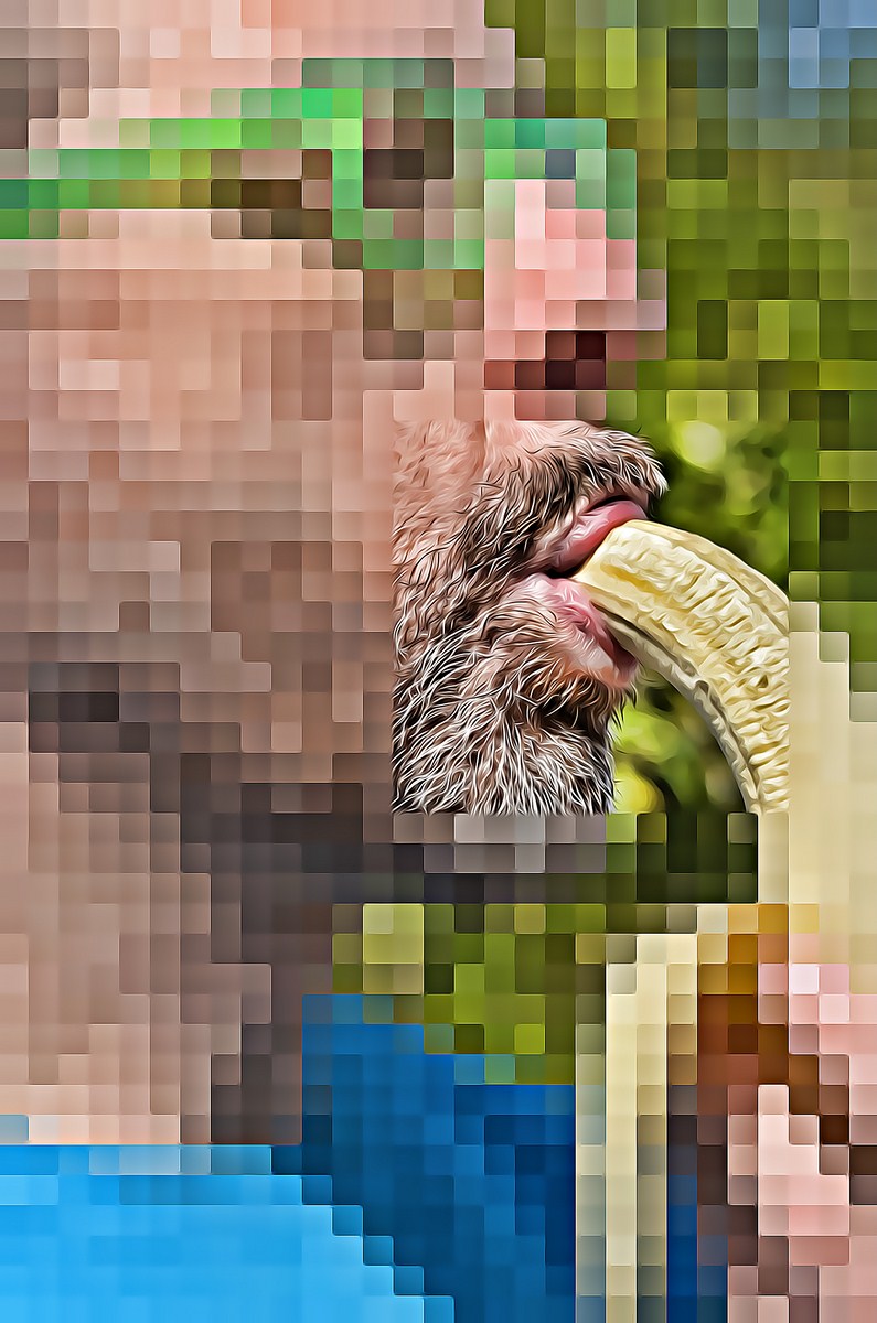 Autor: Andreu Tusquets.