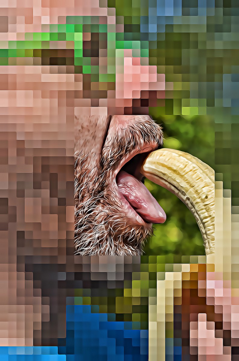 Autor: Andreu Tusquets.