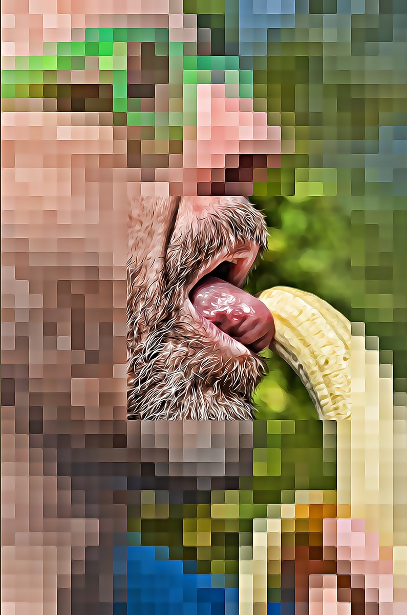 Autor: Andreu Tusquets.