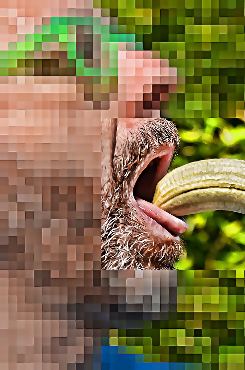 Autor: Andreu Tusquets.