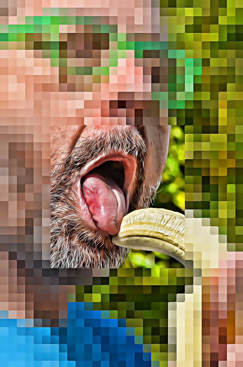 Autor: Andreu Tusquets.