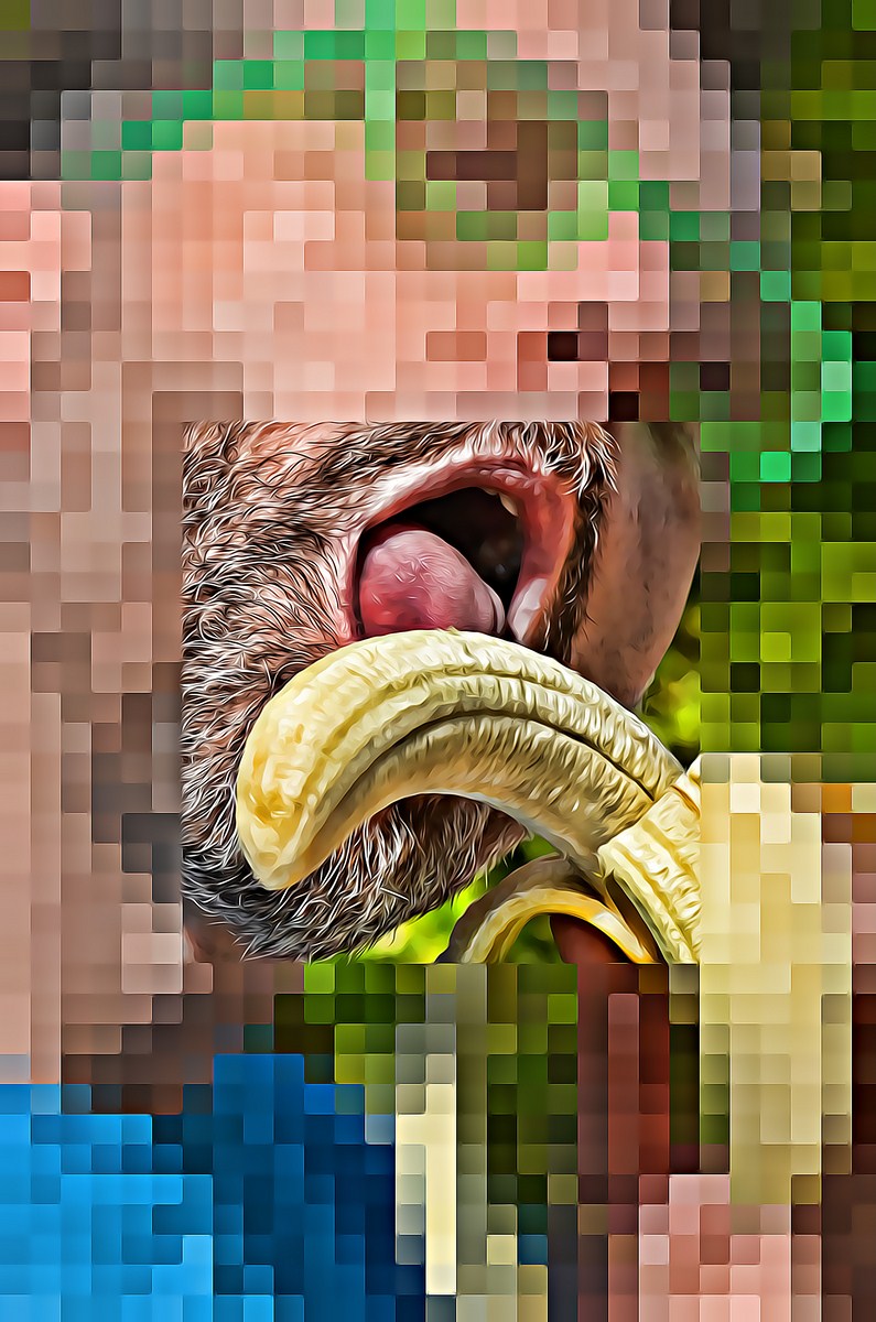 Autor: Andreu Tusquets.