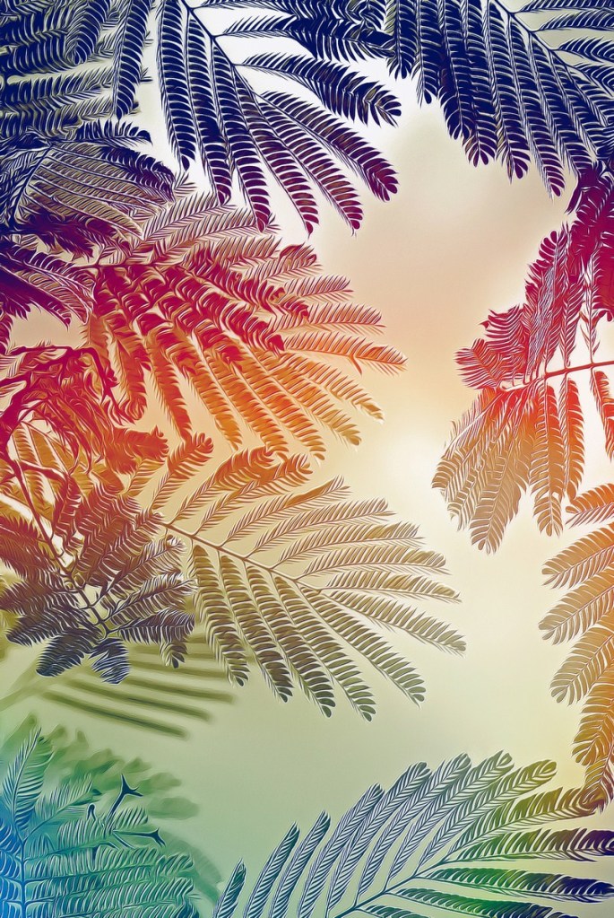 Autor: Andreu Tusquets.