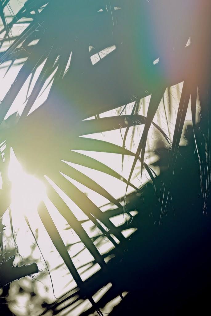 Autor: Andreu Tusquets.