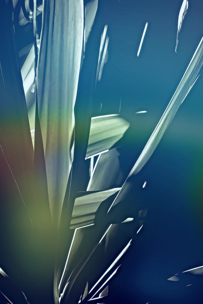 Autor: Andreu Tusquets.