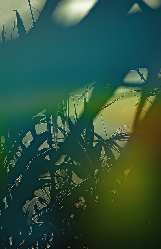 Autor: Andreu Tusquets.