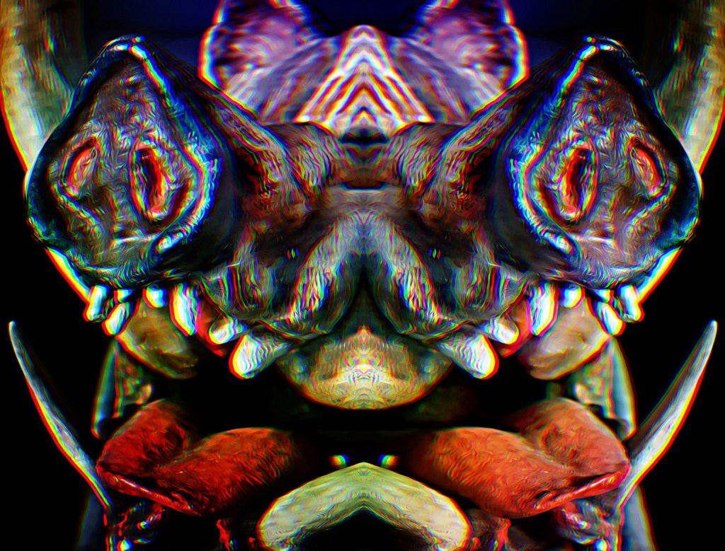 Autor: Andreu Tusquets.