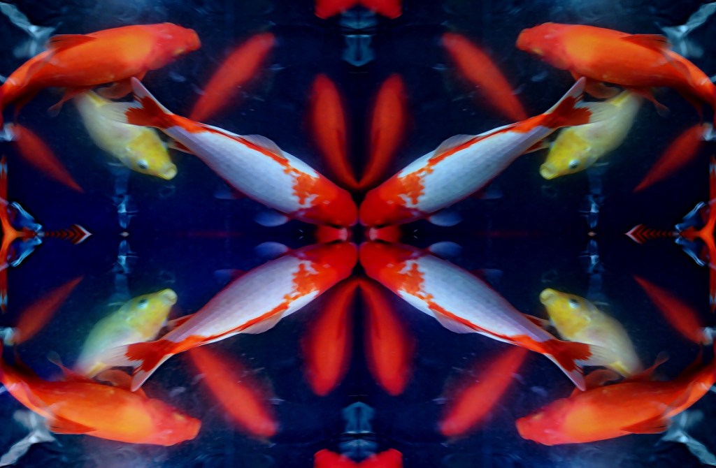 Autor: Andreu Tusquets.