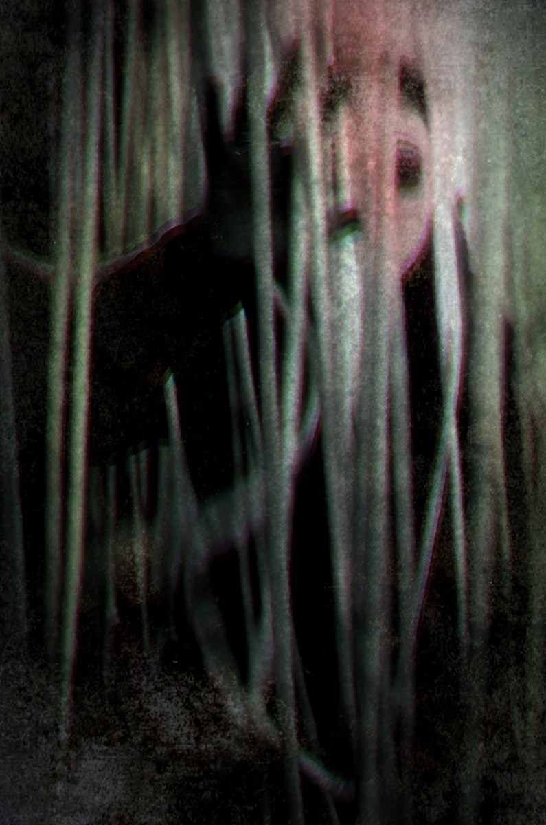 Autor: Andreu Tusquets.