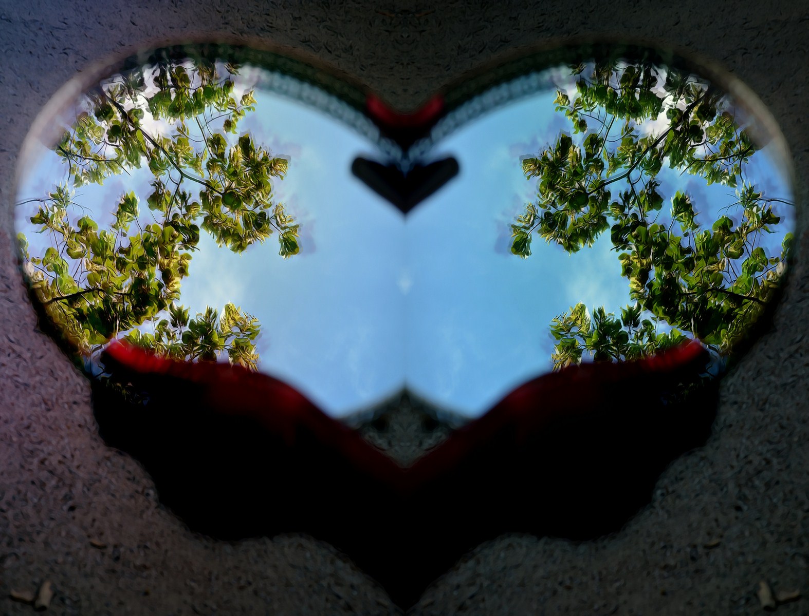 Autor: Andreu Tusquets.