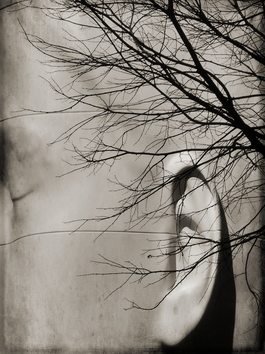 Autor: Andreu Tusquets.