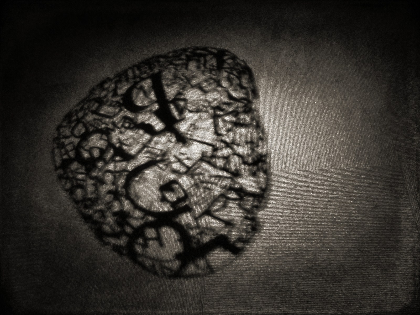 Autor: Andreu Tusquets.