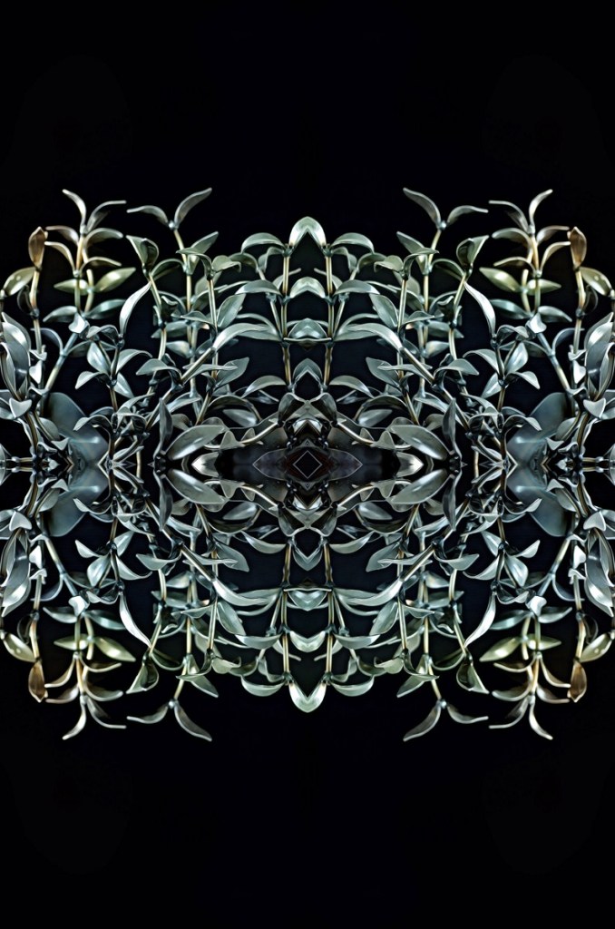 Fotografia: Andreu Tusquets.