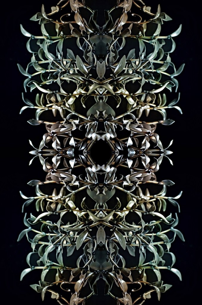 Fotografia: Andreu Tusquets.