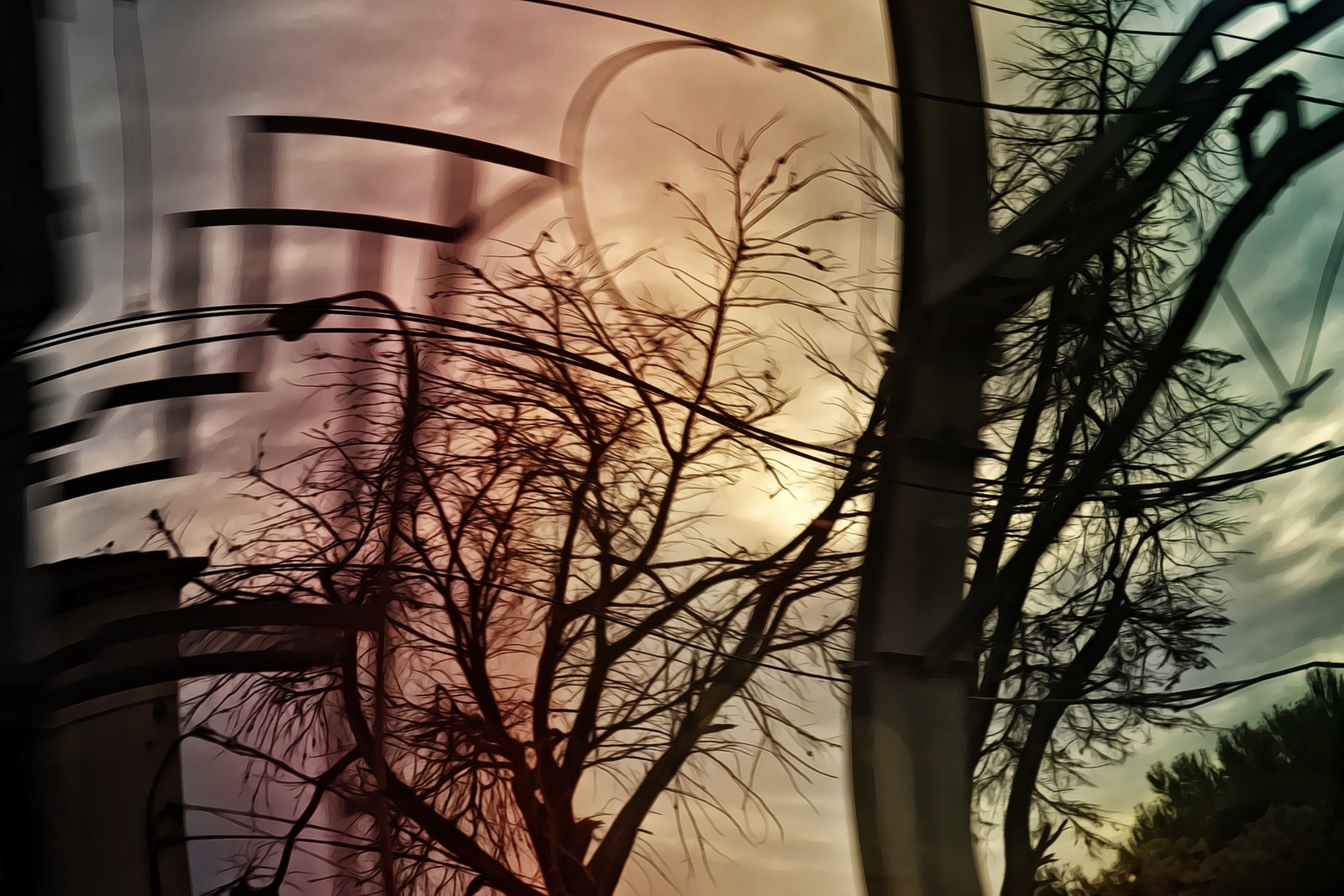 Autor: Andreu Tusquets.