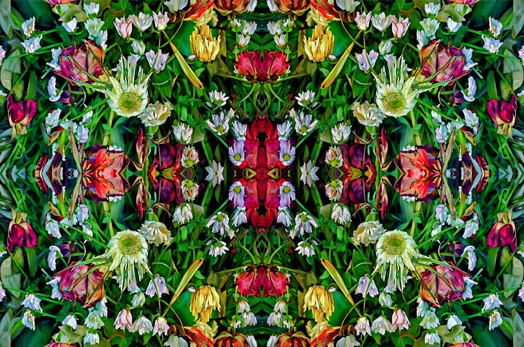 Autor: Andreu Tusquets.