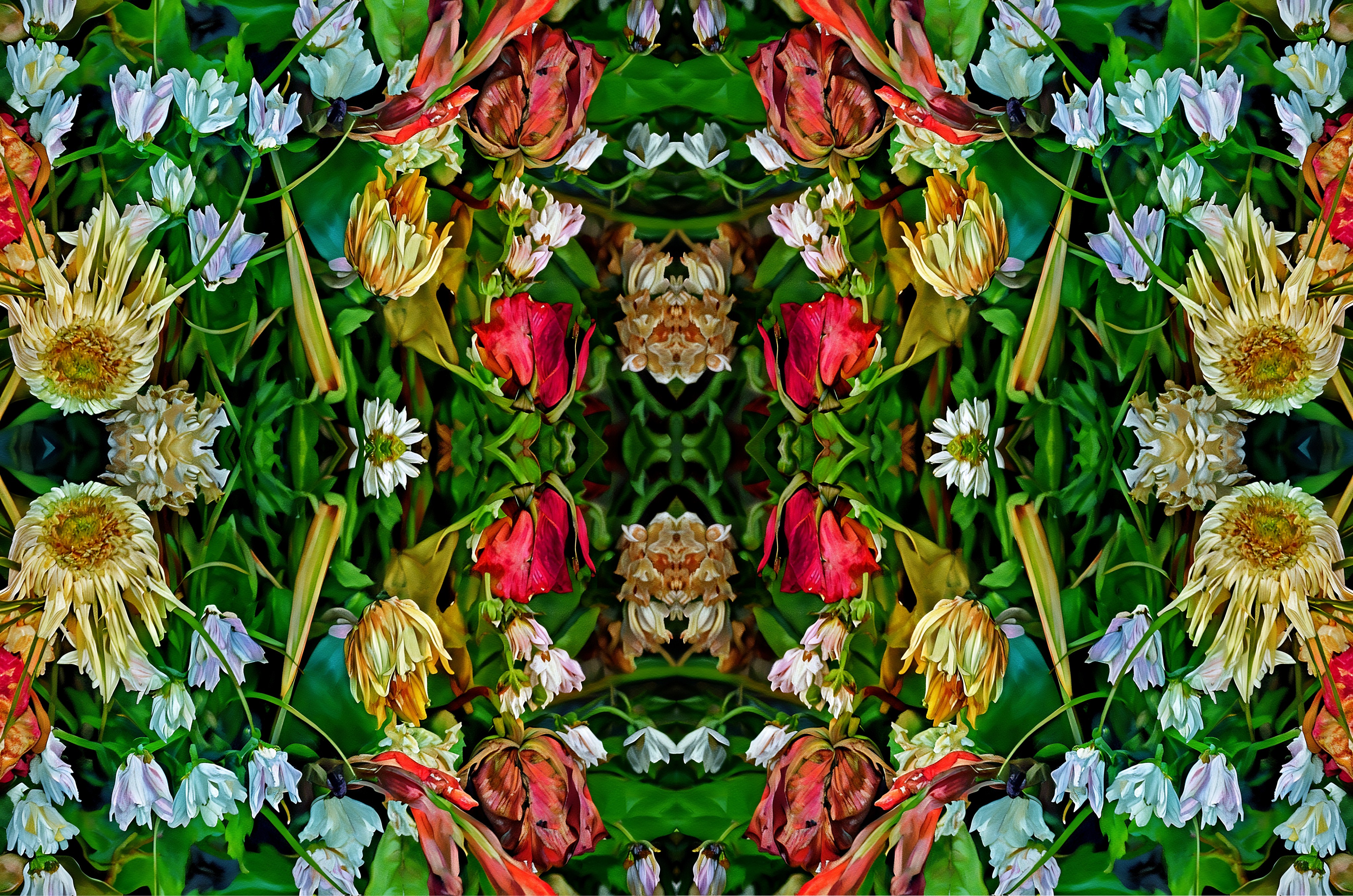 Autor: Andreu Tusquets.